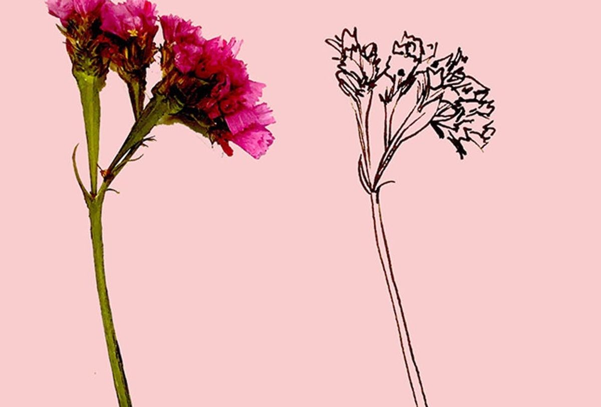 Learn How to Draw Any Wildflower in 5 Easy Steps Brit + Co