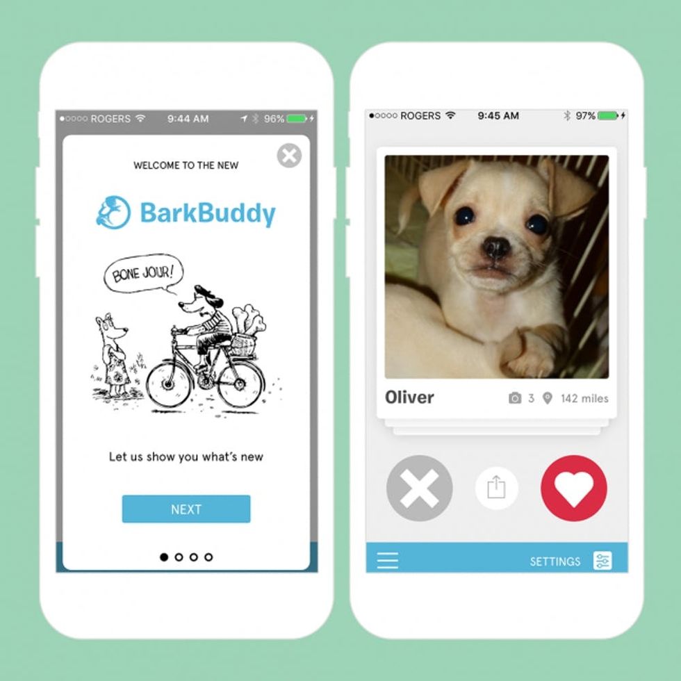 10 Dog Apps That Are Barking Genius Brit + Co
