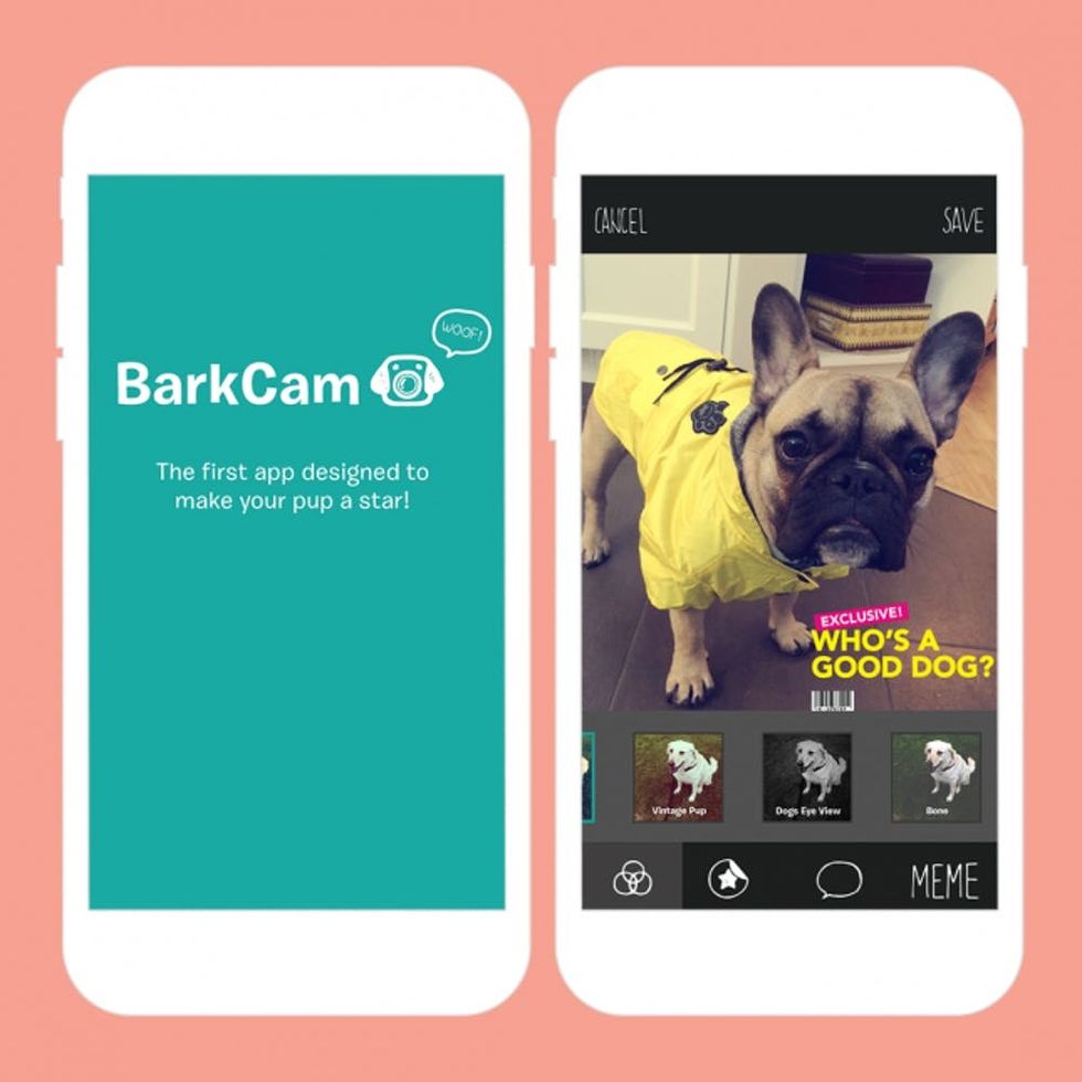 10 Dog Apps That Are Barking Genius Brit + Co