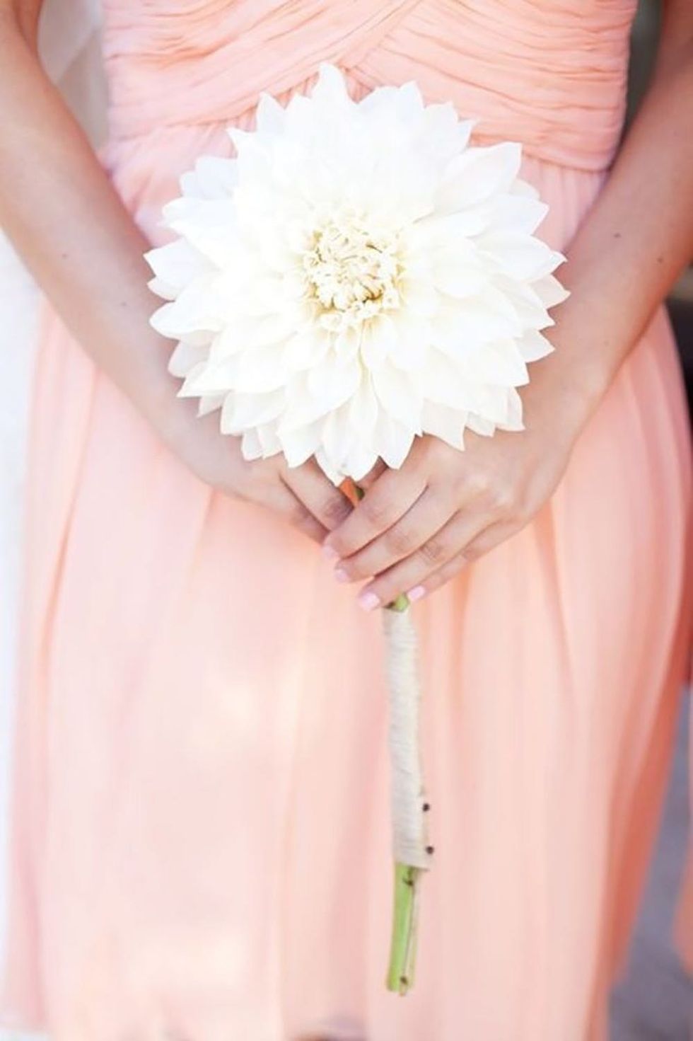 12 SingleStem “Bouquets” for the Minimalist Bride Brit + Co