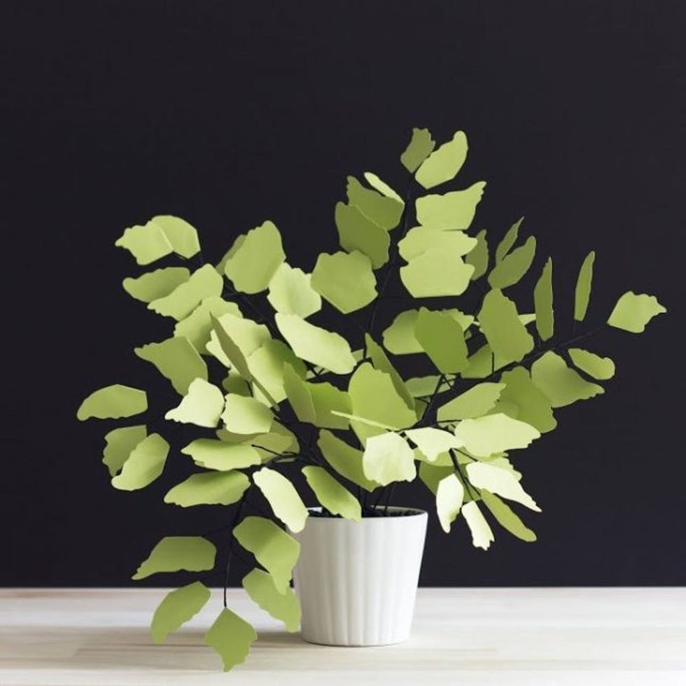 16 DIY Paper Plants to Make Your Indoor Garden a Reality Brit + Co