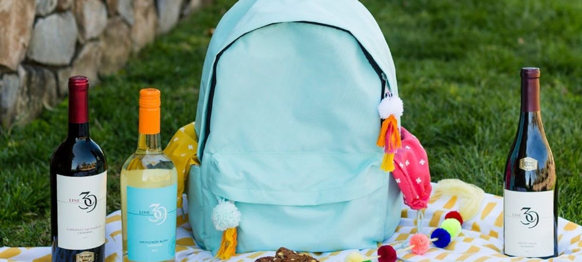 This Easy Backpack Wine Hack Will Make Outdoor Picnics a Breeze Brit + Co