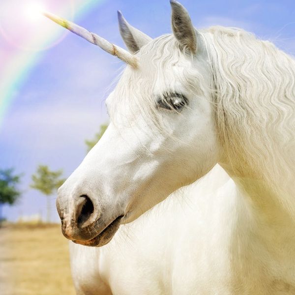 Unicorns Are Real, According to Science Brit + Co
