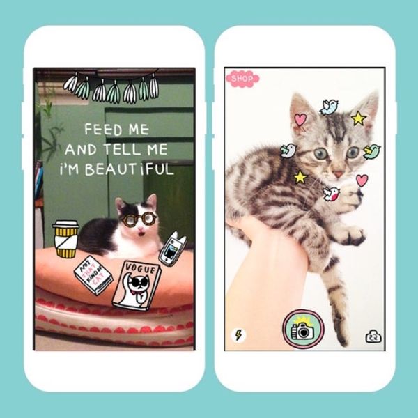 5 Best Apps of the Week An App to Help You Talk to Your Cat and More! Brit + Co