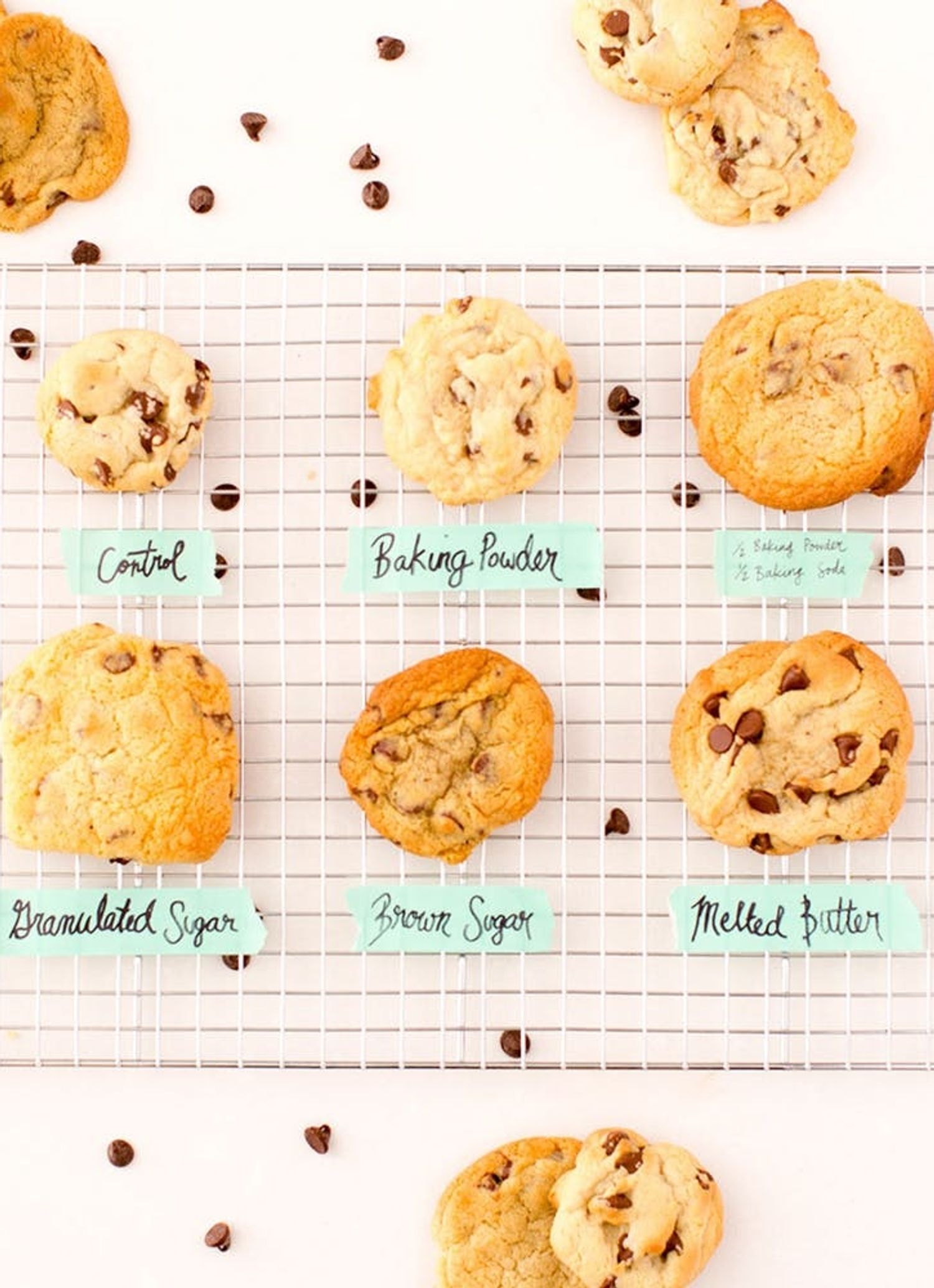 The Ultimate Chocolate Chip Cookie: Tested on Baking Rookies - Brit + Co