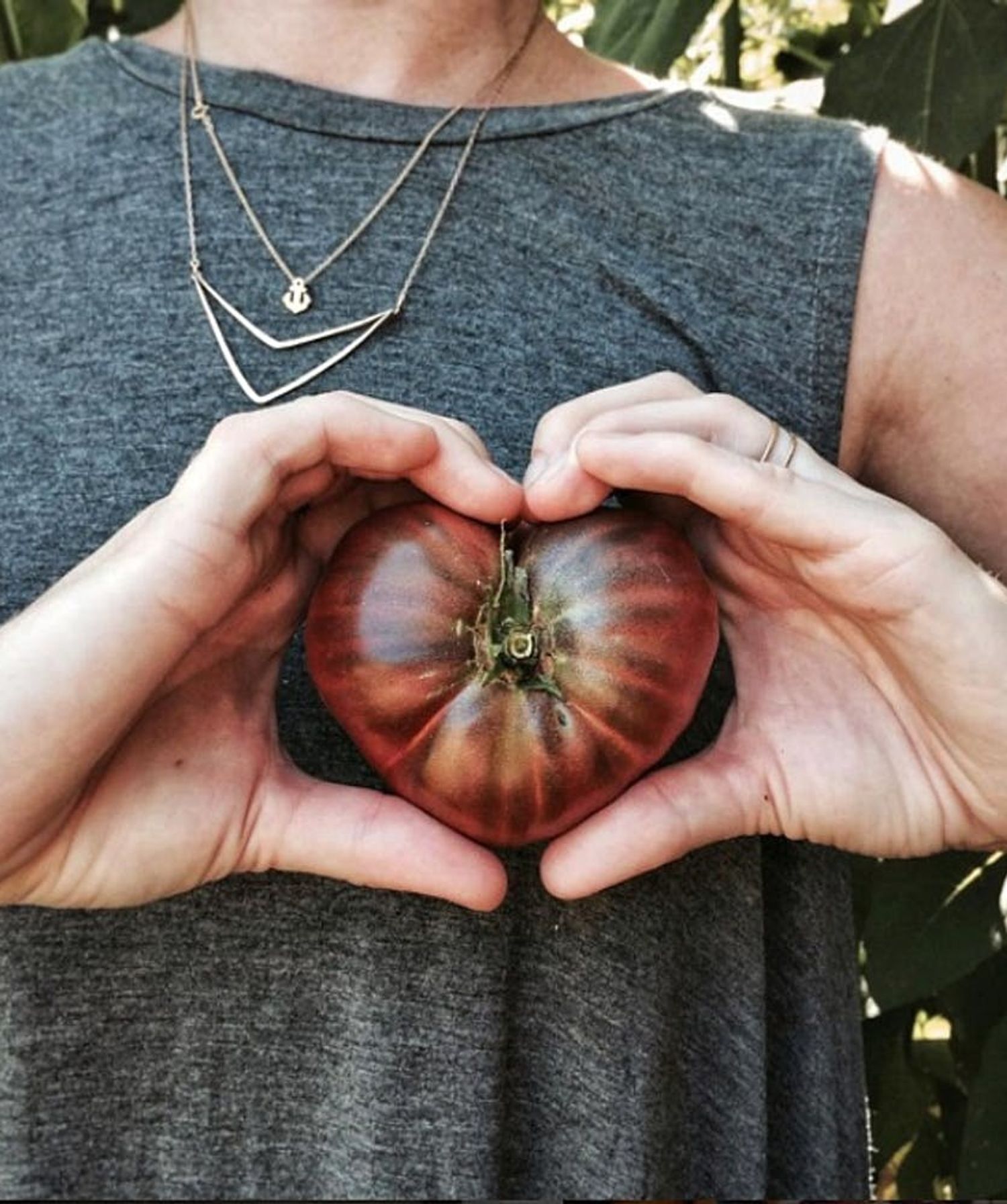 10 Urban Gardeners You Should Follow On Instagram Right Now Brit Co