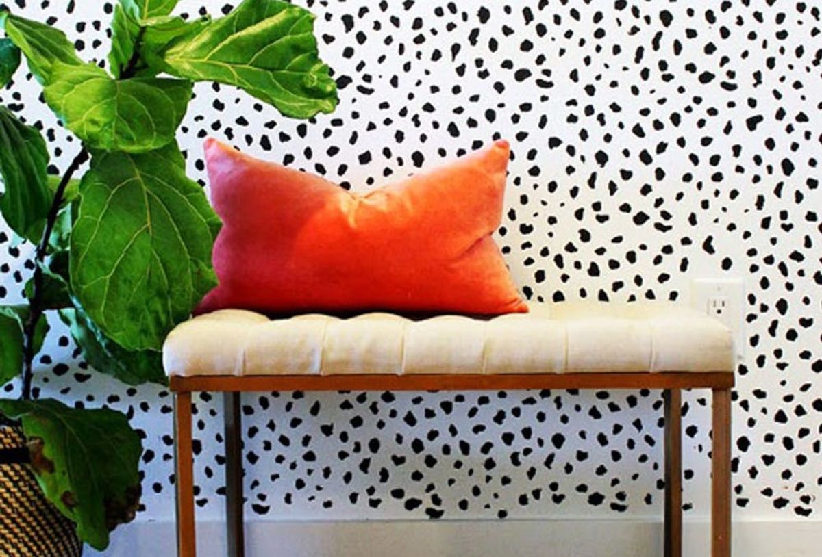 Trend Alert 7 Modern Dalmatian Print Walls That Make a Statement Brit + Co