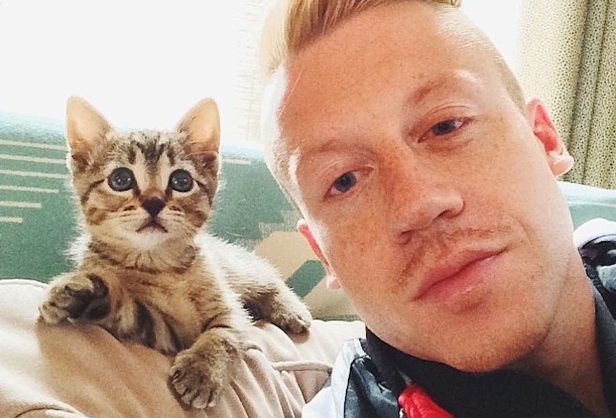 11 Celebrity Pets We Followed On Instagram In 2015 Brit Co