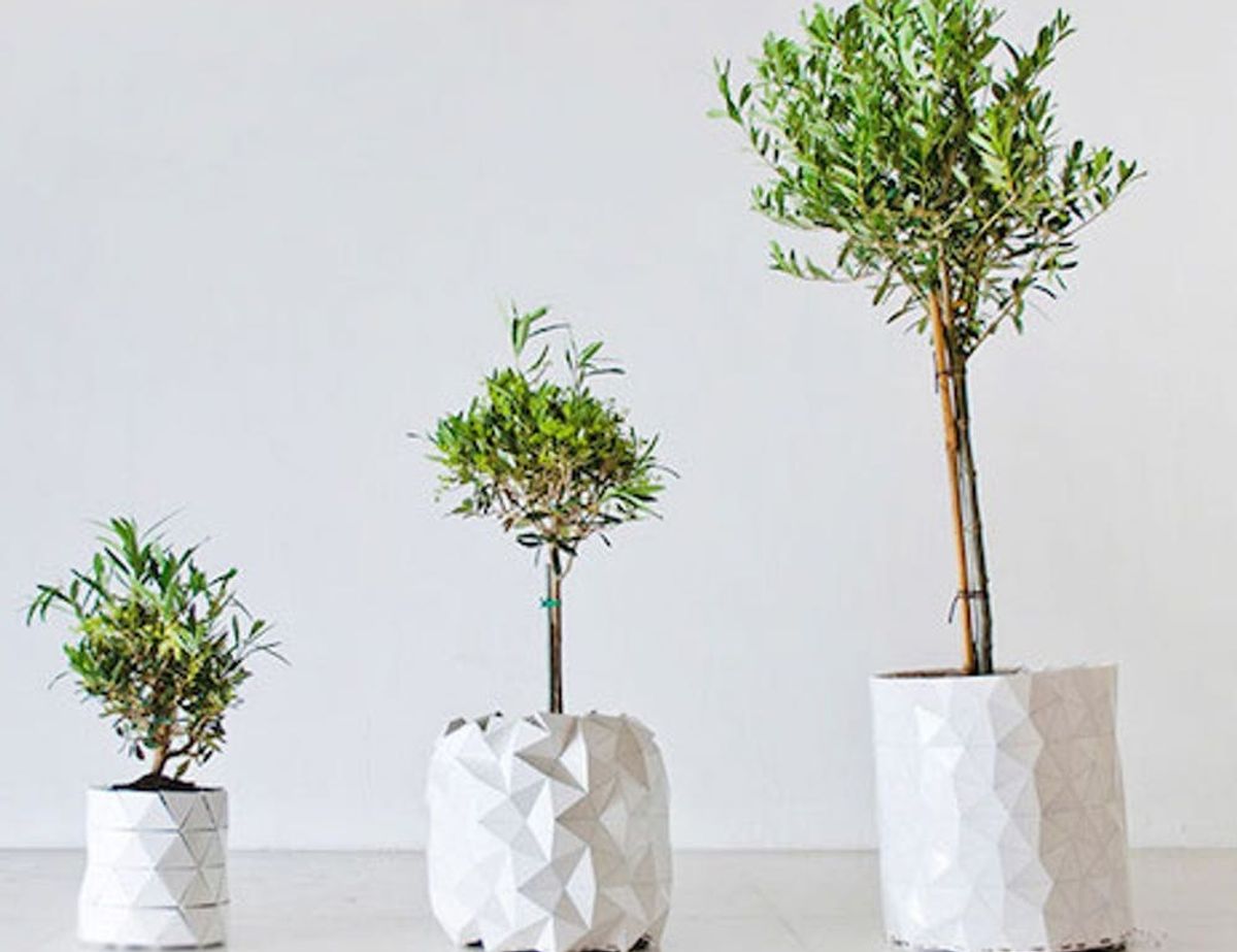 This Crazy GeometricInspired Pot Grows *With* Your Plant Brit + Co