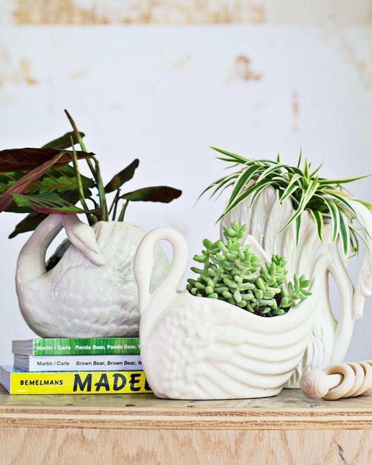 10 NonToxic Plants for Your Nursery Brit + Co