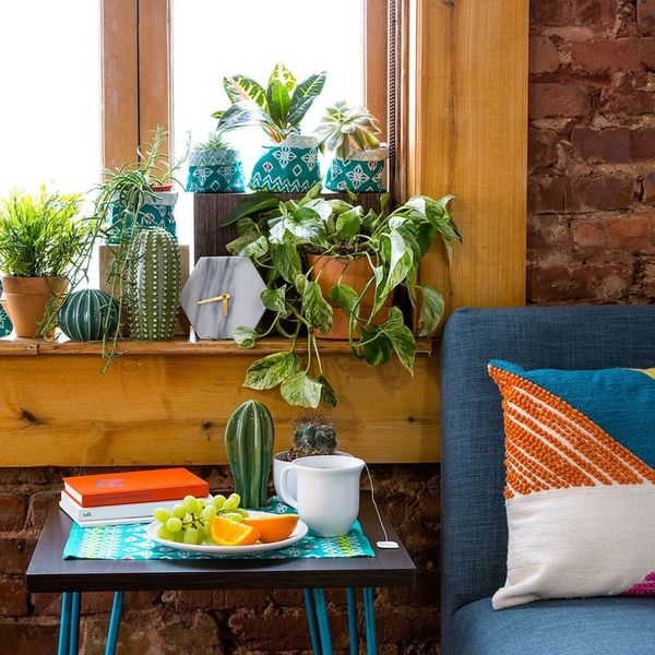 13 Ways to Decorate Your Home With Plants - Brit + Co
