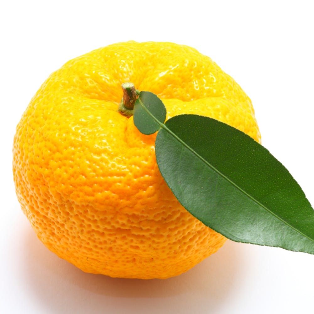 Medical Alert Alternative Companies Medical Alert Alternative Companies