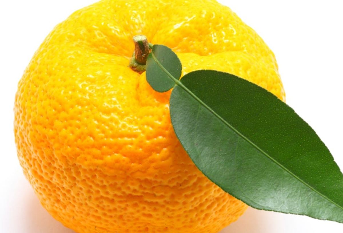 This Japanese Fruit Might Work as Well as Xanax Brit + Co