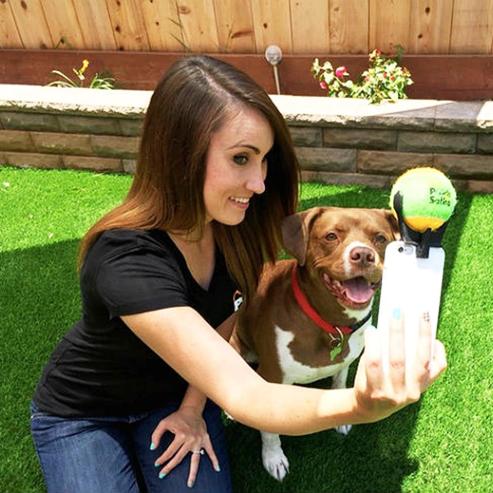 pooch selfie ball pets at home