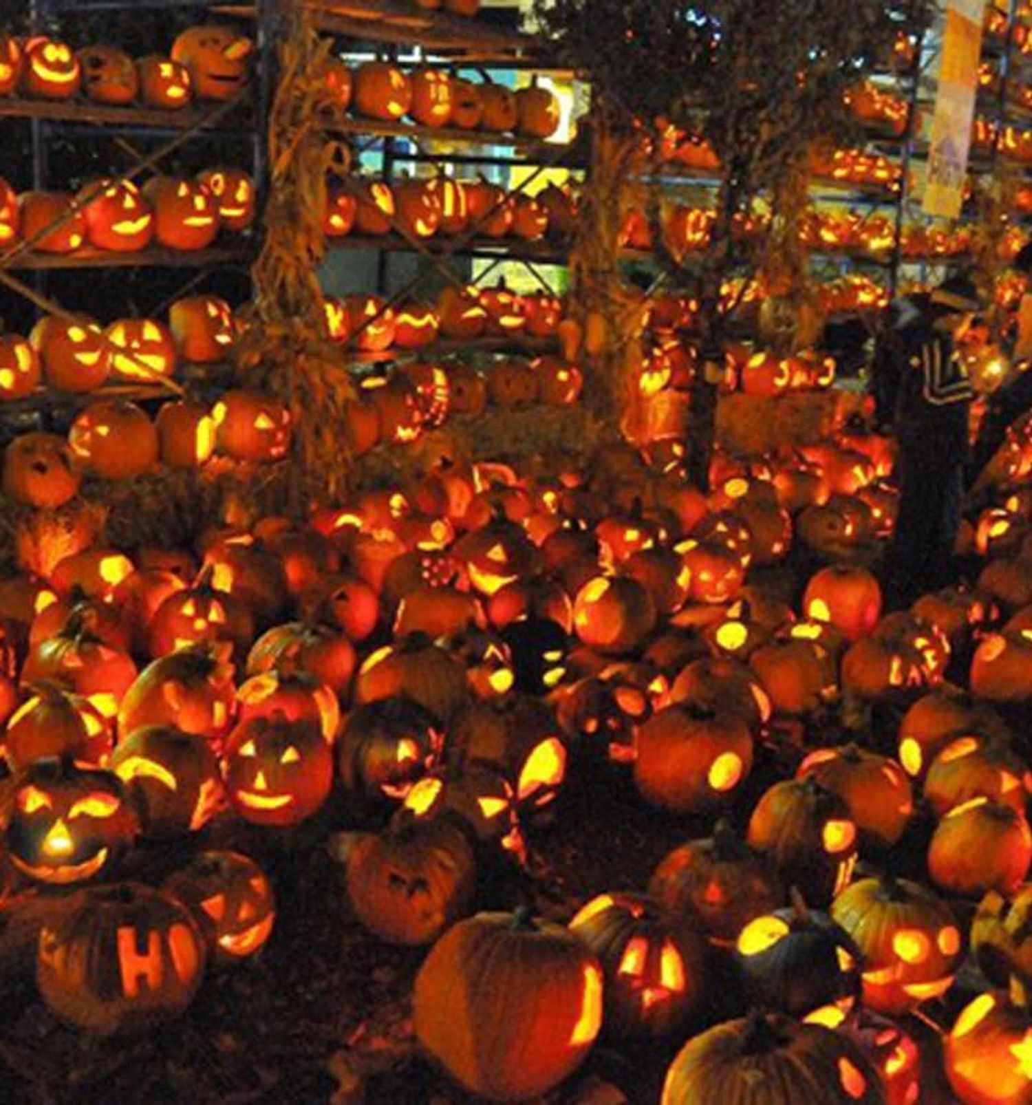 10 Jacko’Lantern Festivals You Have to See to Believe
