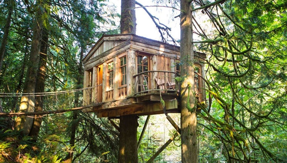 The 10 Coolest Homes in The Treetops Brit + Co