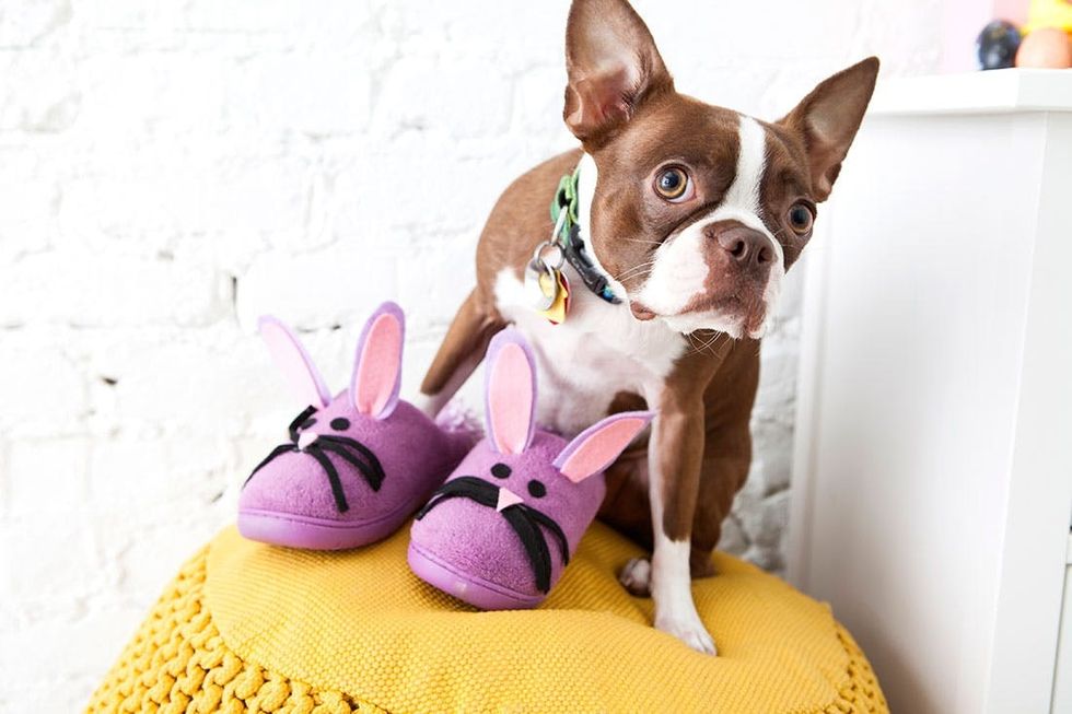 How to Turn an Old Pair of Slippers into Bunnies for Easter Brit + Co