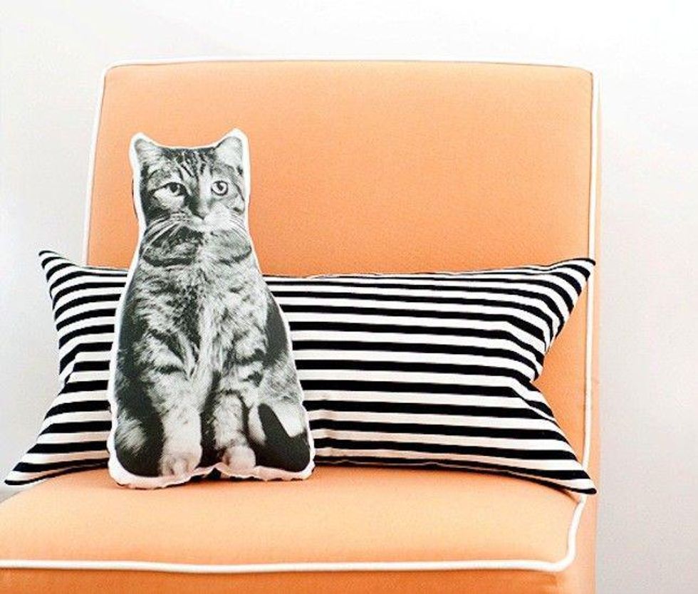 DIY Pet Pillows black and white on an orange chair