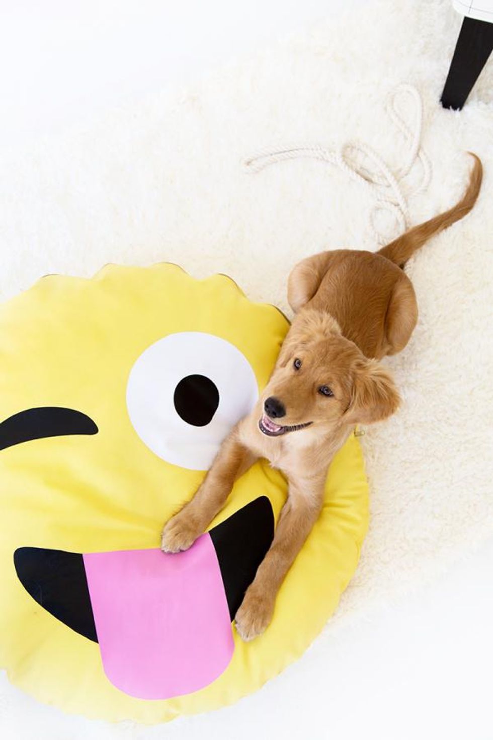yellow pink and black DIY Emoji Dog Bed