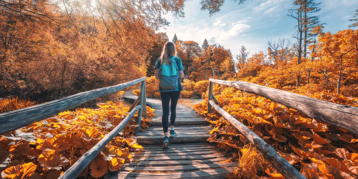 What Does The Fall Equinox Energy Shift Mean For Your Zodiac Sign?