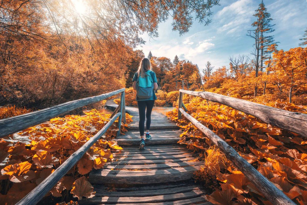 Fall Equinox Zodiac Sign