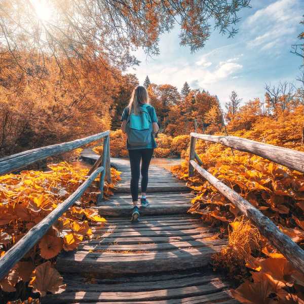 Fall Equinox Zodiac Sign