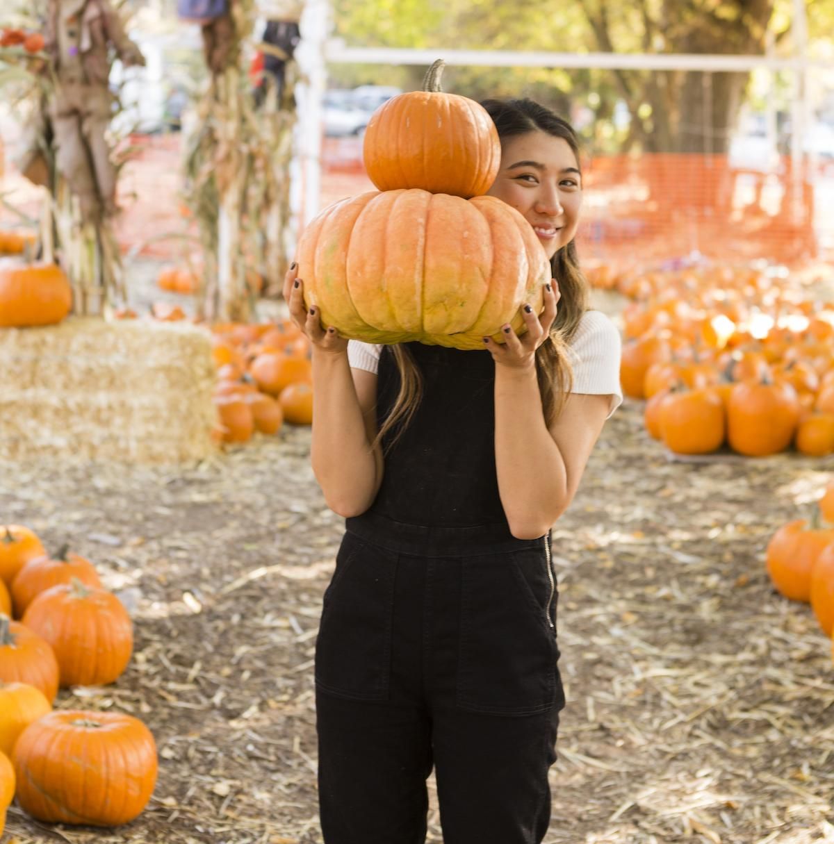fall vibes woman holding pumpkins in a pumpkin patch