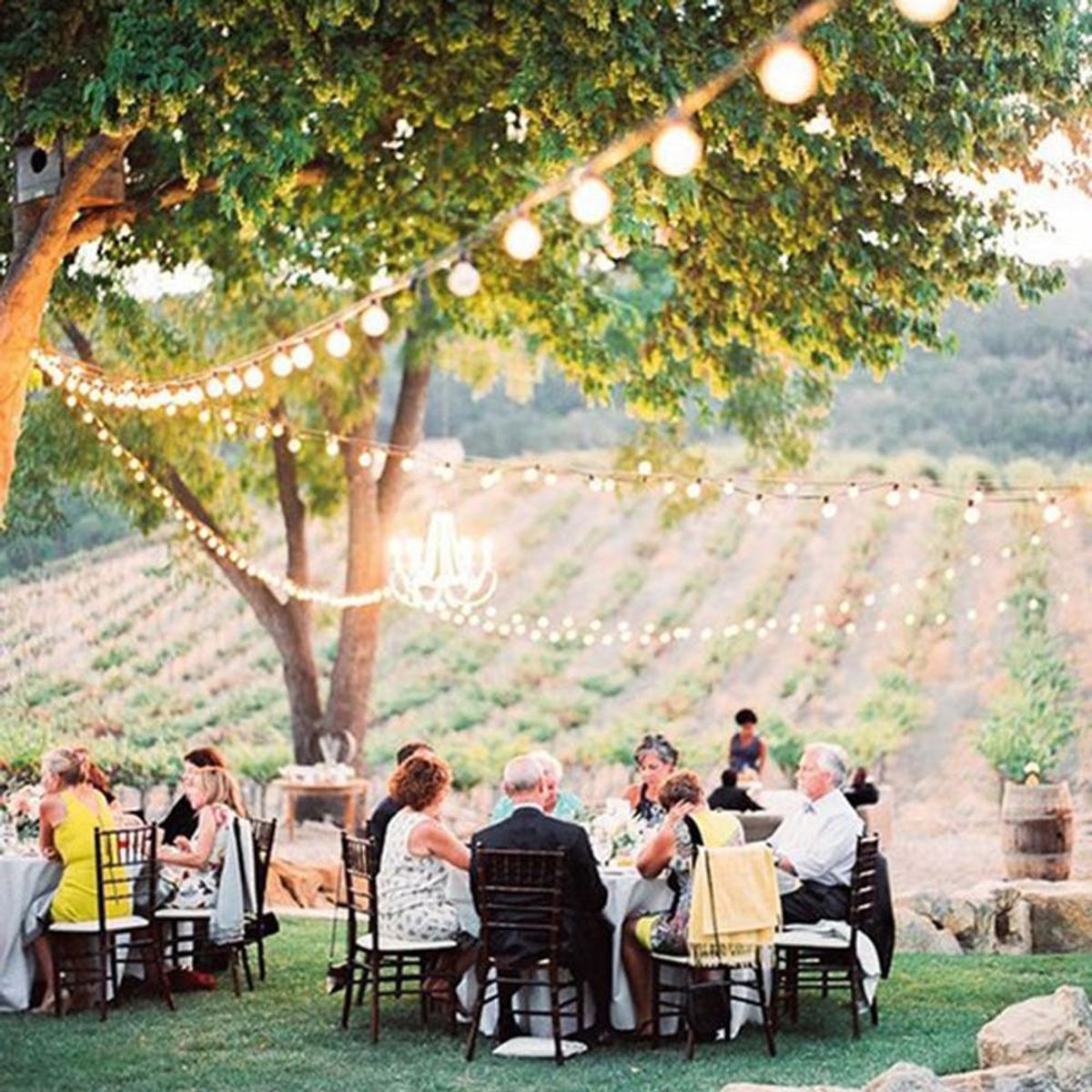 Families gather at tables strung with lights with hills behind at this California vineyard wedding venue.