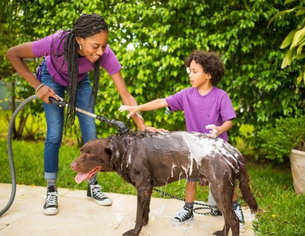 family washing dog