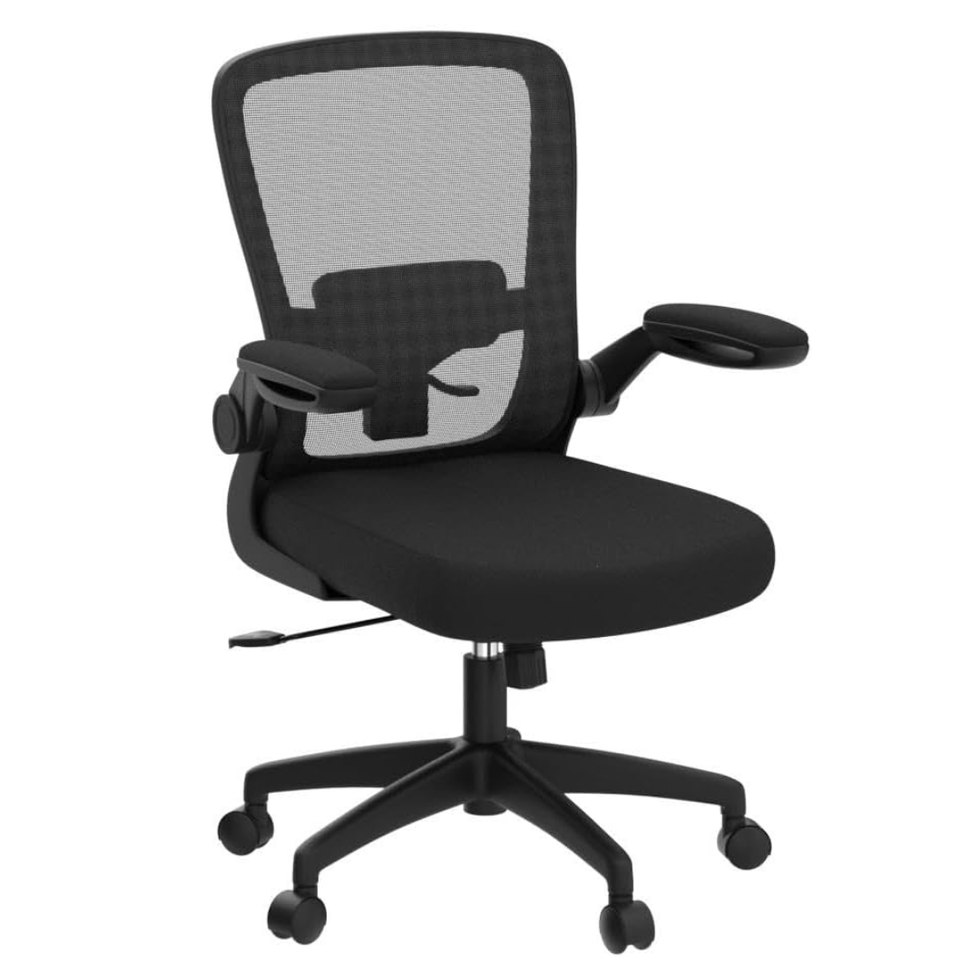 FelixKing Ergonomic Office Chair