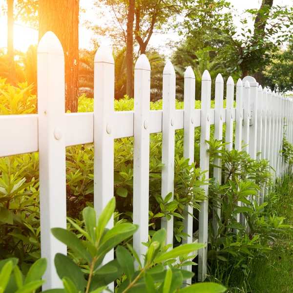 fence