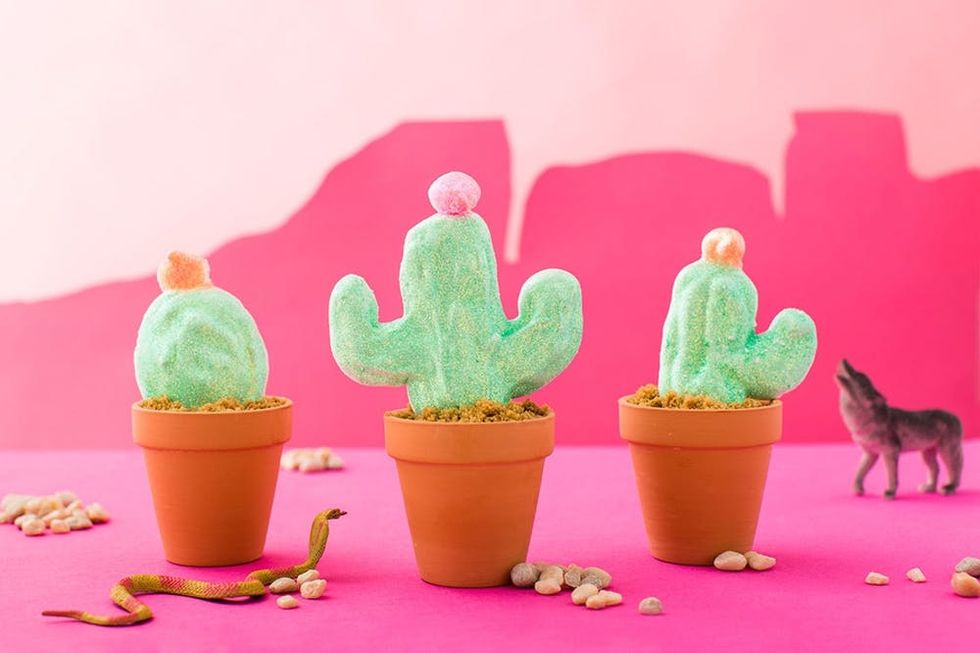 Final-Cactus-Peeps-Scene