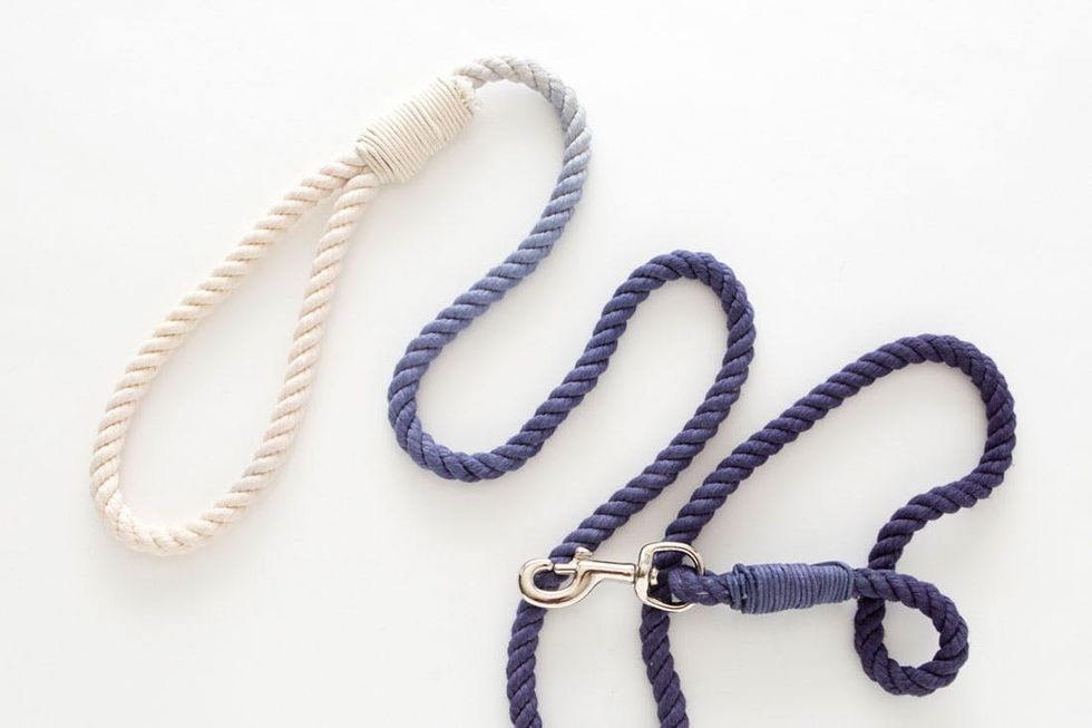 DIY This Ombre Rope Leash for Your Stylish Pup Brit + Co