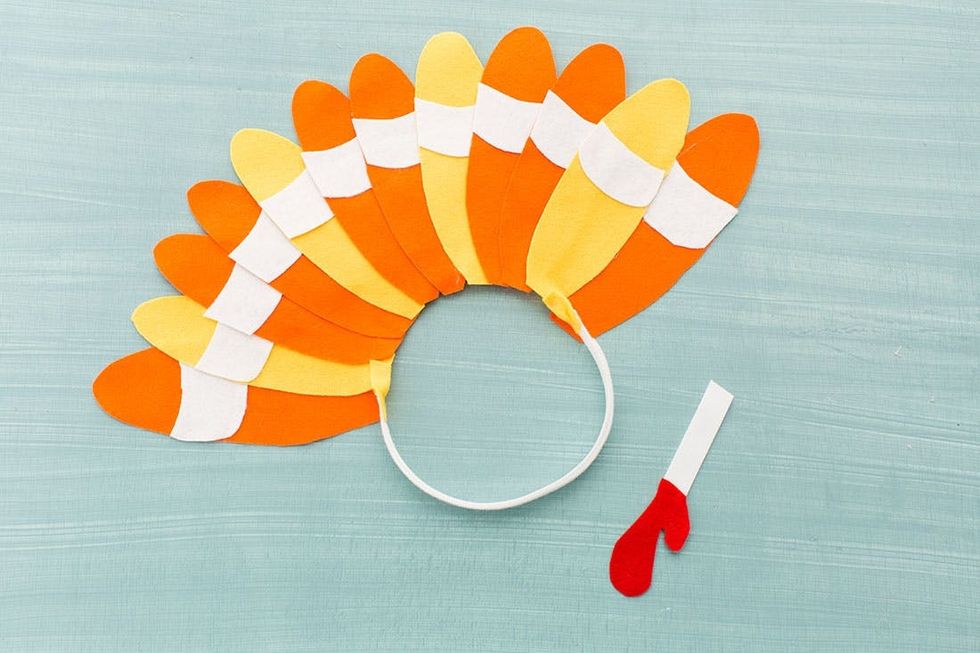 finished dog turkey costume