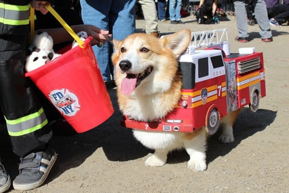 fire truck costume