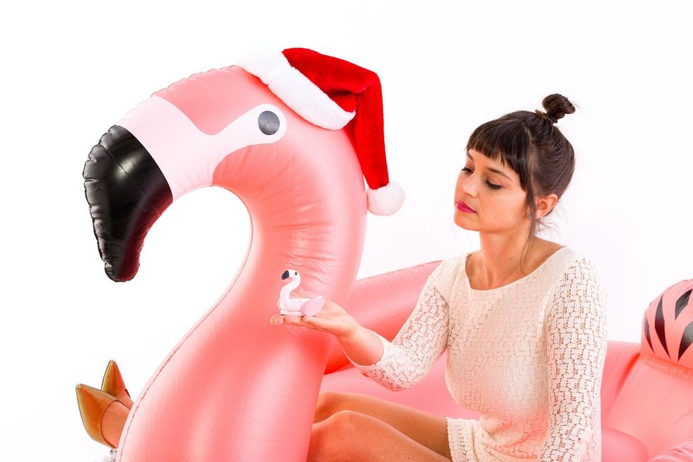 flamingo-close-horizontal