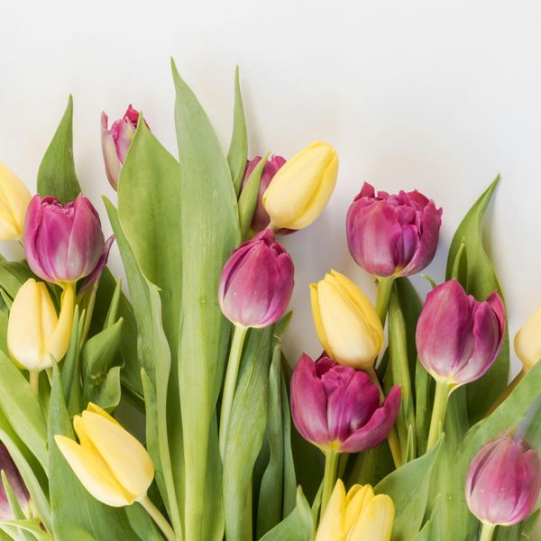 floral arrangement tips