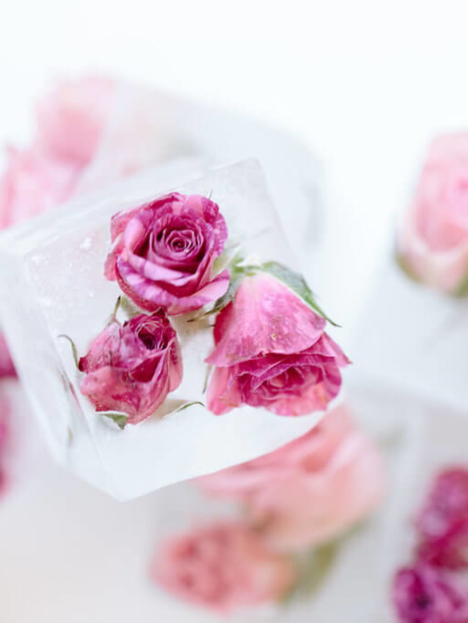 floral ice cubes