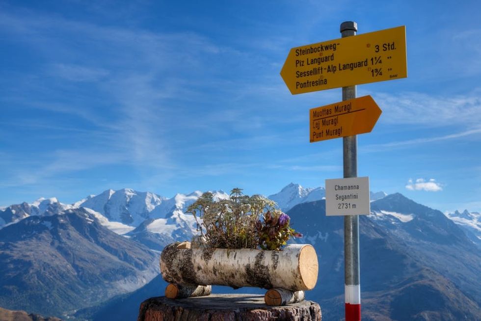 Flowers decorage a sign outside Segantini hut