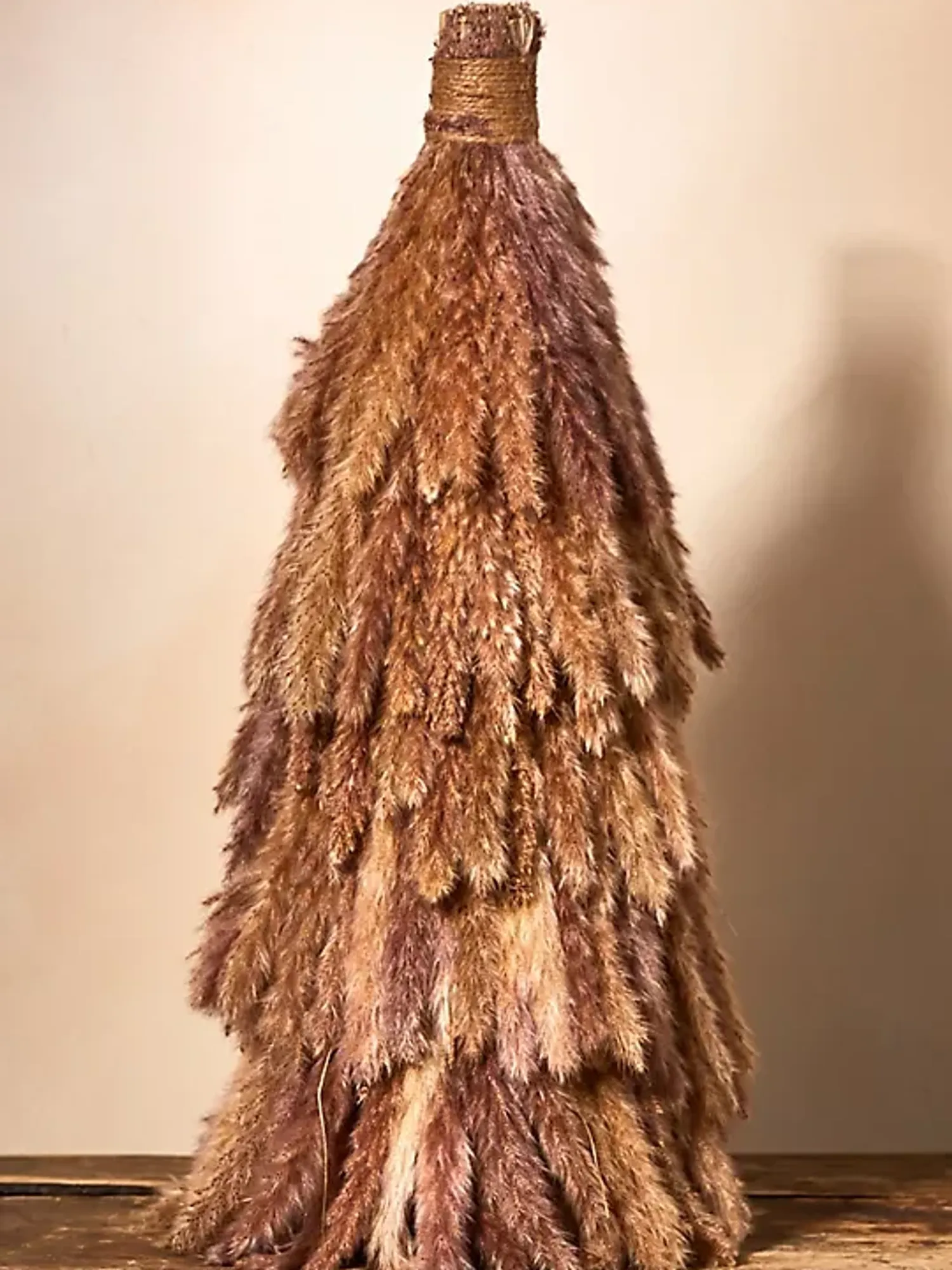 fluffy pampas cone tree