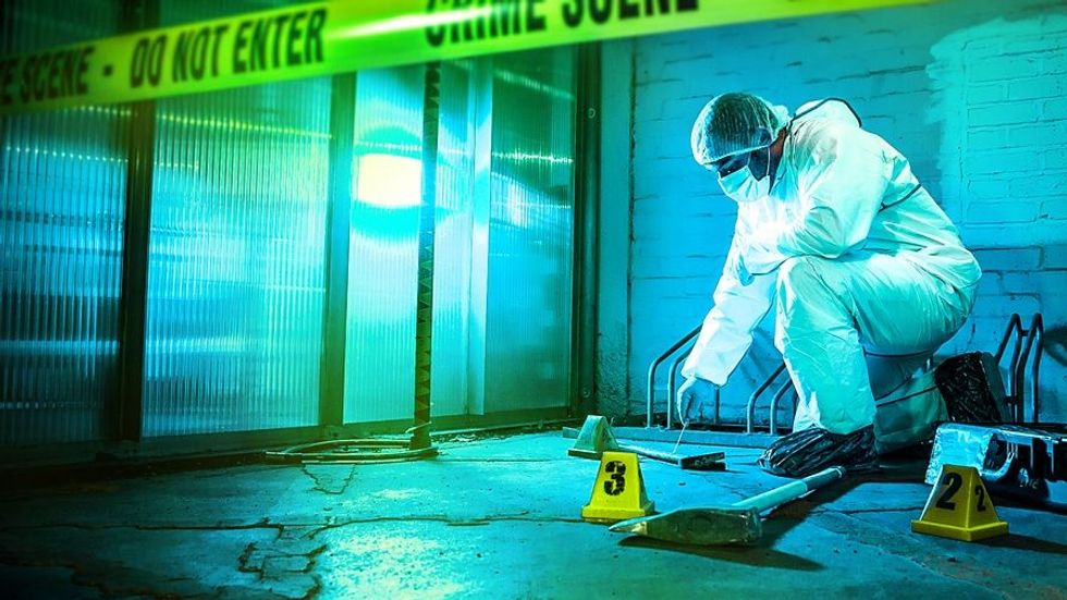 Forensics: The Real CSI Season 2