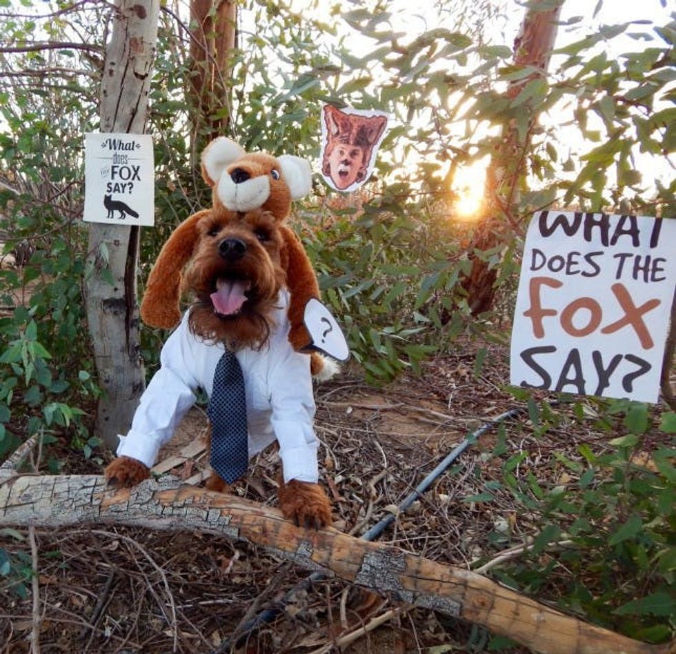 fox costume