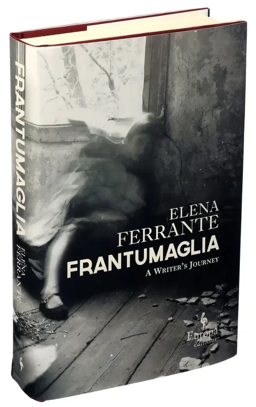 Frantumaglia: A Writer's Journey by Elena Ferrante