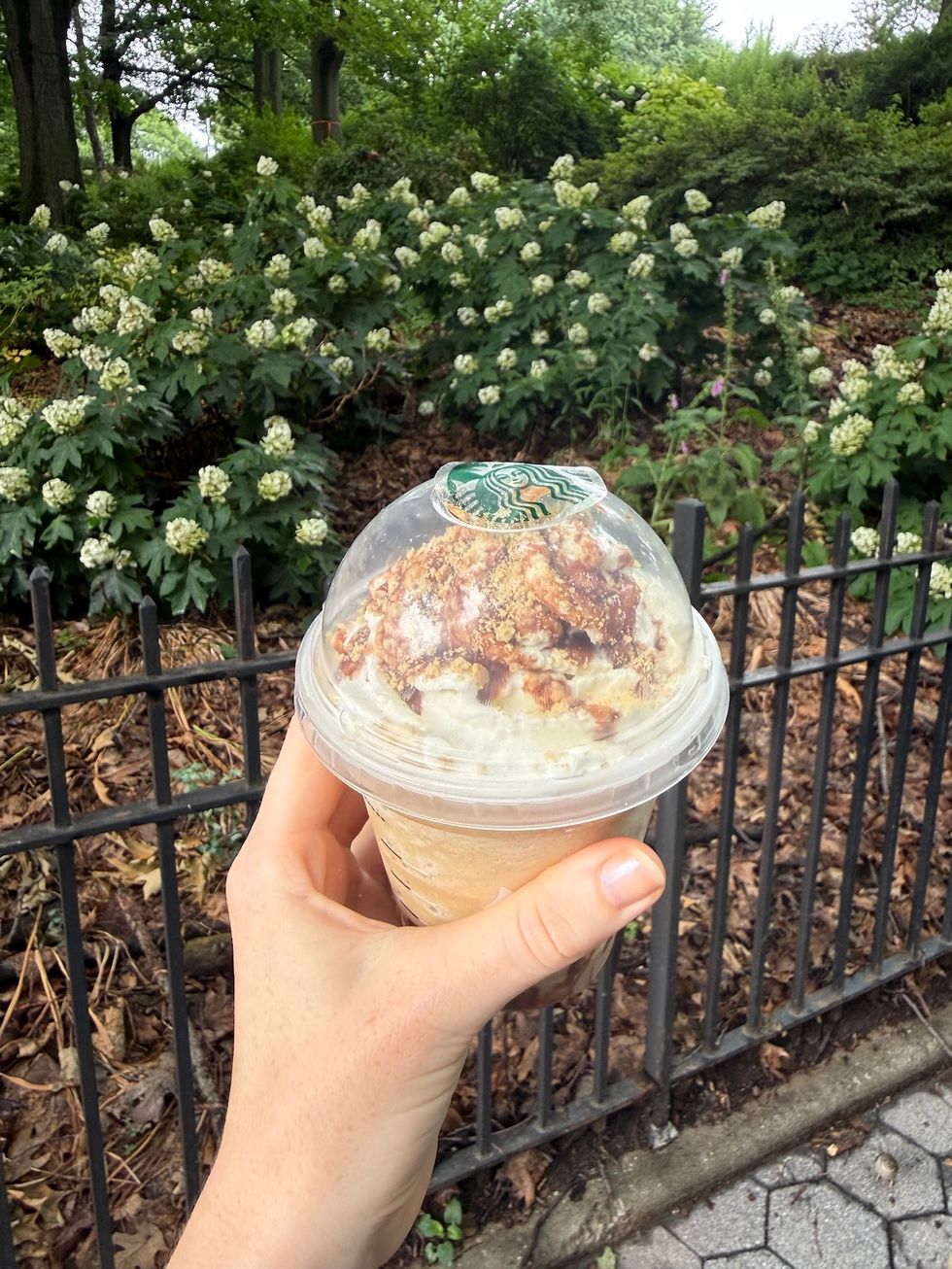 frappucino