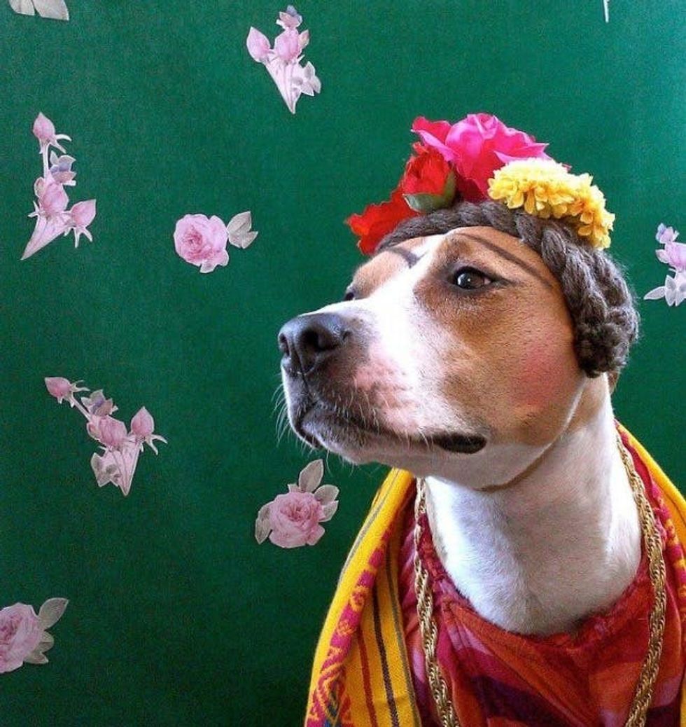 frida kahlo dog costume