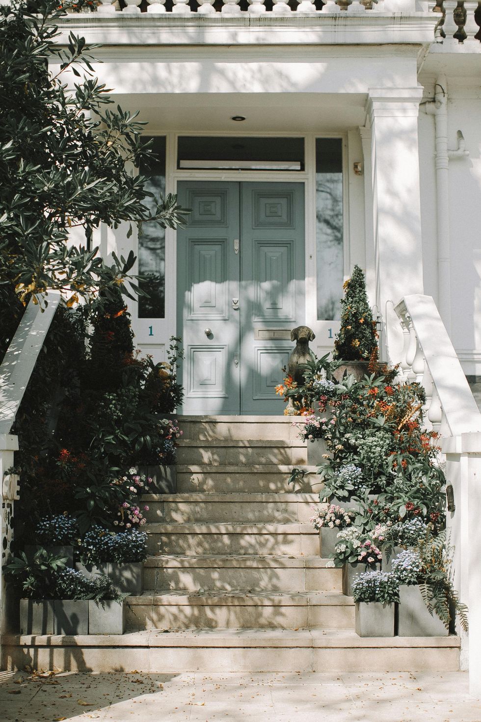 front steps with potted plants lining them