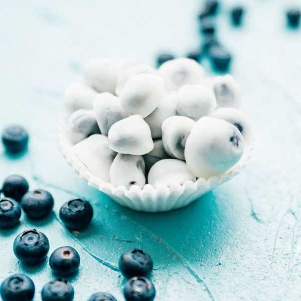 Frozen Blueberry Bites