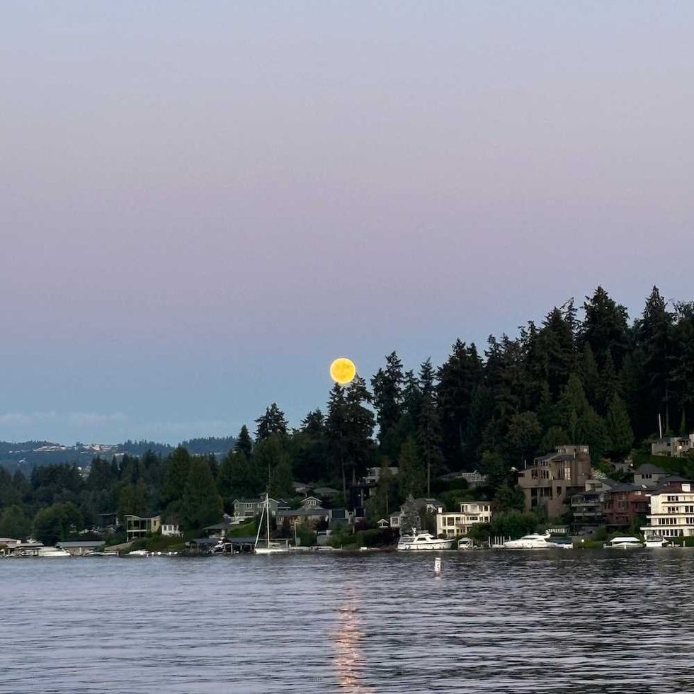 Full moon rising over forested lakeside homes at dusk.