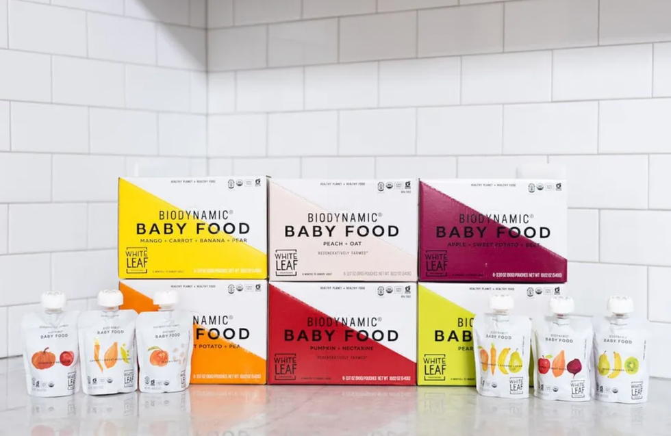 gifts for pregnant women White Leaf Provisions The Organic Biodynamic\u00ae BIG Baby Food Bundle ($100)