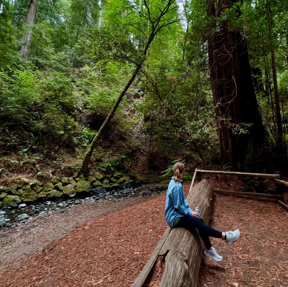 girl sitting on a log in the muir woods